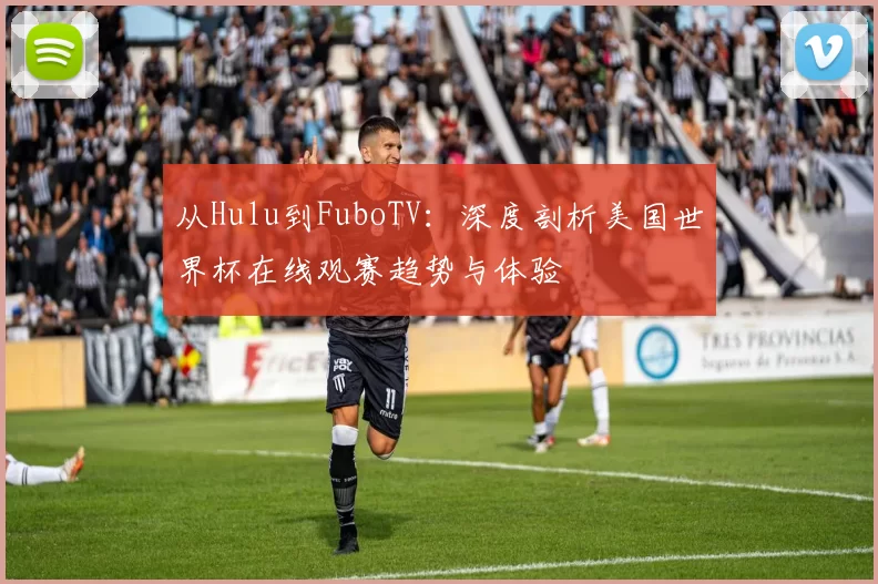 从Hulu到FuboTV:深度剖析美国世界杯在线观赛趋势与体验