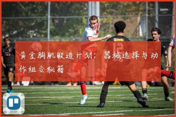 黄金胸肌锻造计划：器械选择与动作组合秘籍
