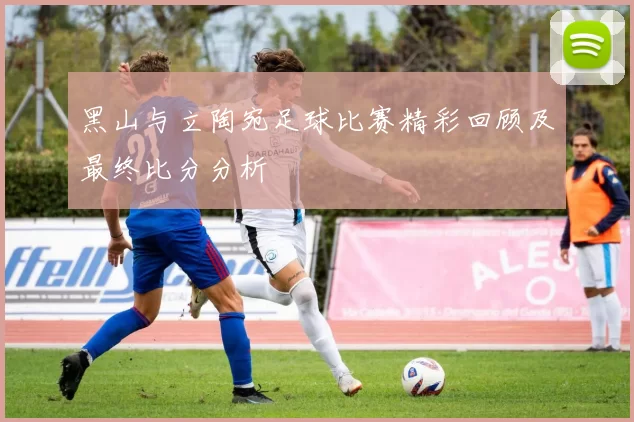 黑山与立陶宛足球比赛精彩回顾及最终比分分析
