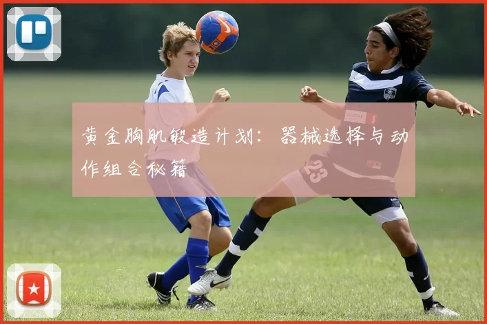 黄金胸肌锻造计划：器械选择与动作组合秘籍