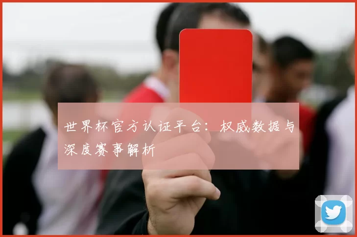 世界杯官方认证平台：权威数据与深度赛事解析