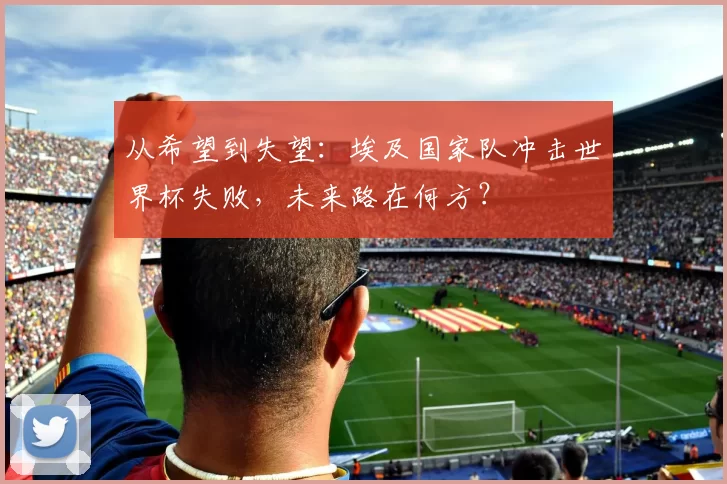 从希望到失望：埃及国家队冲击世界杯失败，未来路在何方？