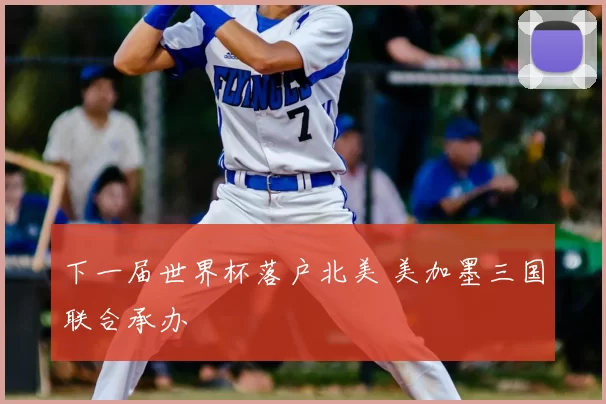下一届世界杯落户北美 美加墨三国联合承办