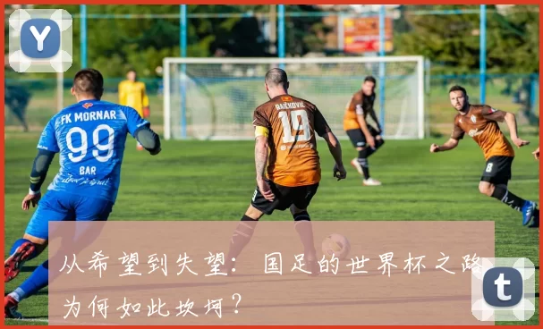 从希望到失望：国足的世界杯之路为何如此坎坷？