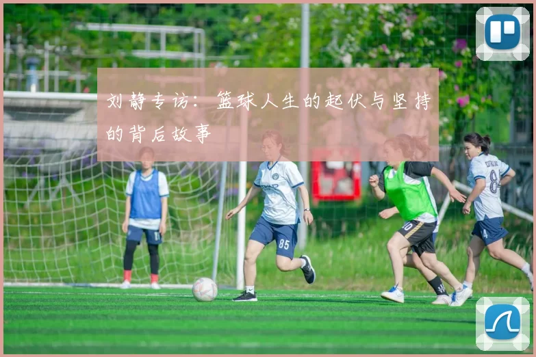 刘静专访：篮球人生的起伏与坚持的背后故事