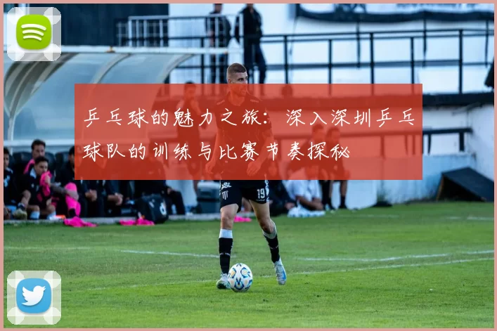 乒乓球的魅力之旅：深入深圳乒乓球队的训练与比赛节奏探秘
