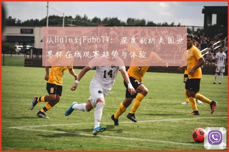 从Hulu到FuboTV:深度剖析美国世界杯在线观赛趋势与体验