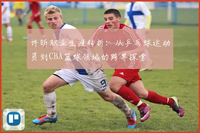 许昕职业生涯转折：从乒乓球运动员到CBA篮球领域的跨界探索