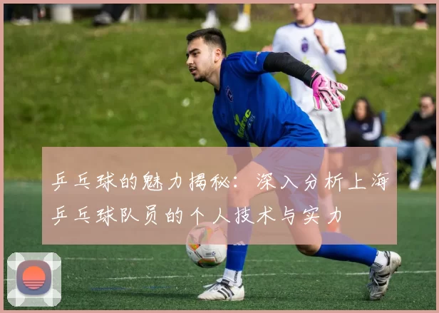 乒乓球的魅力揭秘:深入分析上海乒乓球队员的个人技术与实力